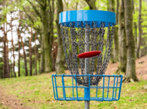 Frisbee Golf Game Rentals Edmonton Alberta